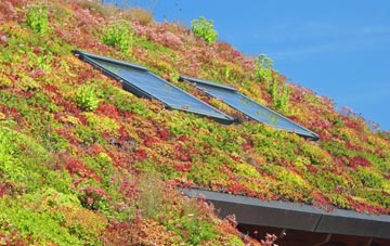 Baycliff living roof systems