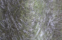 Baycliff fibreglass roof work